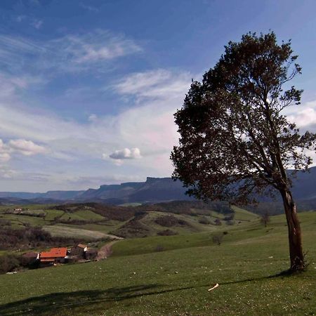 Zelaikoetxe Villa Ozeka Kültér fotó